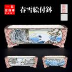盆栽鉢 春雪色絵長方鉢 植木鉢 絵付