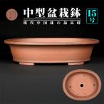 盆栽鉢 紫泥外縁下紐楕円鉢 植木鉢 