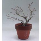  Mai . главный офис * брать . дерево материалы шесть 