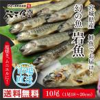 岩魚10尾！東北の渓流を感じる幻の魚を食卓に！バーベキューに！贈り物にも！