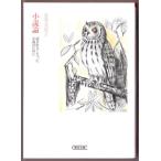 小説論 読まれなくなった小説のために　（金井美恵子/朝日文庫）