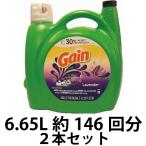 ゲイン ラベンダー（6.65L/約146回分/添加酵素30％増量洗剤）２本セット(ゲイン/タイド洗剤)(アメリカ製洗濯洗剤)