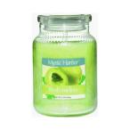 アロマキャンドル ヤンキーキャンドル ジャーL フレッシュメロン Yankee Candle Mystic Harbor アメリカ ヤンキーキャンドル社製