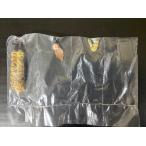 ワールドタンクミュージアムキット VOL.2 1/144 シークレット  1/35 陸自女性戦車兵