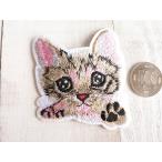 Booboohouse wap 1336