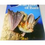 The Lives of Bats Wilfried Schober CROOM HELM