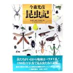  сейчас лес свет . насекомое регистрация / сейчас лес свет . работа / удача звук павильон книжный магазин 
