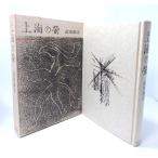  сверху море. ./ Takeda Taijun работа / центр . теория фирма 