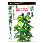 ... приятный декоративное растение. починка : 4 сезон. починка . декоративное растение. .. изменение,.. дерево . АО разделение / хвост мыс глава * др. ( работа )/. документ . новый свет фирма 