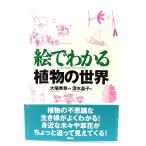 .. понимать растения. мир / большой место превосходящий глава (..), Shimizu ..( работа ) /.. фирма 