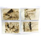  retro * открытка с видом восток гора .. выставка 5 листов 