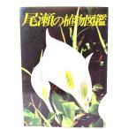 尾瀬の植物図鑑/新井幸人 写真 ; 里見哲夫 解説/偕成社