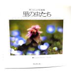 .. насекомое ..: obi меч правильный . фотоальбом (BeeBooks)/ obi меч правильный .( работа )/ свет .. цвет версия печать место 