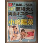 雑誌付録 小嶋陽菜 超特大 両面ポスター 840x560mm　未開封 EX大衆
