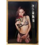 月刊 小嶺麗奈　写真集 月刊シリーズNo.84　初版