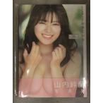山内鈴蘭 書店ビニール未開封 直筆サイン入　山内鈴蘭 写真集 「おきにいり」 初版 帯付　鈴木ゴータ 双葉社