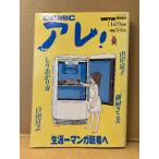COMICare! 1993 год 11 месяц 20 день BRUTUS экстренный больше .... история *....&amp; Izumi ..*.....*....&amp; Izumi ..* гора ...*......*.... прекрасный 