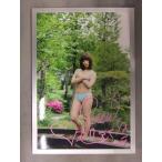 加藤悠　直筆サイン入り大判フォト　額入り　ベースボール・マガジン社 封筒付き　S