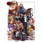 SNK Anniversary Fan Book/SNK/ゲーム
