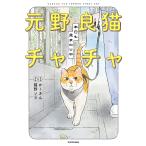 〔予約〕元野良猫チャチャ 本日も見まわり中/かーさん/猫野ソラ