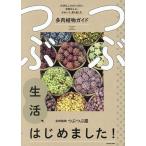 ( предварительный заказ ).... жизнь, впервые сделал! важный . - 3. только. недостаточность нет .,...., длинный приятный суккулентное растение гид / суккулентное растение .... магазин 