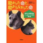 .... жизнь .,. из .... жизнь животное. защита объект happy house история / Савада ../. храм ..