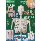 1/6 размер тело человека .. модель сборка комплект 