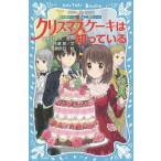 クリスマスケーキは知っている/藤本ひとみ/住滝良/清瀬赤目