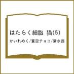 ( предварительный заказ ). ... маленький . кошка 5