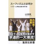  Hsu fizm - какой-либо стул la-m бог . принцип. . line дорога / Yamamoto прямой блестящий 