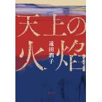  небо сверху. огонь ./. рисовое поле ..
