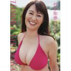 ショッピングカレンダー 竹中知華カレンダーブック