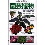  садоводство растения цветочный горшок . декоративное растение / Nagaoka ./ маленький ...