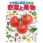 ショッピング果物 野菜と果物/板木利隆