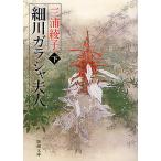  маленький река gala автомобиль Хара человек внизу шт / Miura Ayako 