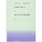  музыкальное сопровождение сверху . направление ...../ видеть вверх .... ночь 