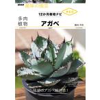 ショッピング多肉植物 多肉植物アガベ/【ツル】岡秀明