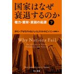  государство. почему .. делать. . право сила *..*... . источник внизу /da long * выцветание mogru/ James *A* Robin son/...