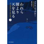  трещина .... небо . смотреть сверху / Chris *wita машина / Suzuki .