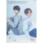 TV drama &amp; theater version [ beautiful .] official visual book 