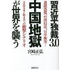 . близко flat ..3.0 China земля .. мир ... полосный ..., Taiwan .., день средний столкновение...2027 год до. удар сценарий / Miyazaki правильный .
