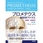  Pro mete незначительный анатомия Atlas голова . часть / нерв анатомия /MichaelSchunke/ErikSchulte/UdoSchumacher