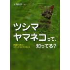 tsusimayama кошка ..,....?.. из ..!! хлопчатник сделал . возможно ../ Oota столица .