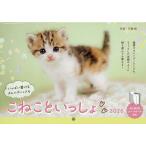 ショッピングカレンダー カレンダー ’26 こねこといっしょ