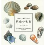 子どもと一緒に覚えたい貝殻の名前/東海大学海洋学部/海洋科学博物館/加古川利彦