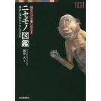  смотреть только . можно наслаждаться!nise моно иллюстрированная книга поддельный структура ... из .. культура история / запад . большой 