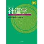  PlayStation p синтоизм ./... большой . синтоизм культура факультет 