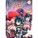 特装版 転生したら剣でした 20