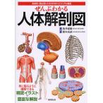 ぜんぶわかる人体解剖図 系統別・部位別にわかりやすくビジュアル解説/坂井建雄/橋本尚詞