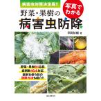  фотография . понимать овощи * фруктовое дерево. болезнь . насекомое защита растений от вредителей болезнь . насекомое меры решение версия!!/. промежуток ..